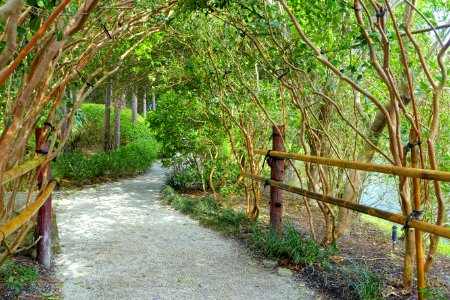 Walkway - Morikami Museum and Japanese Gardens - Palm Beach County, Florida - DSC03352