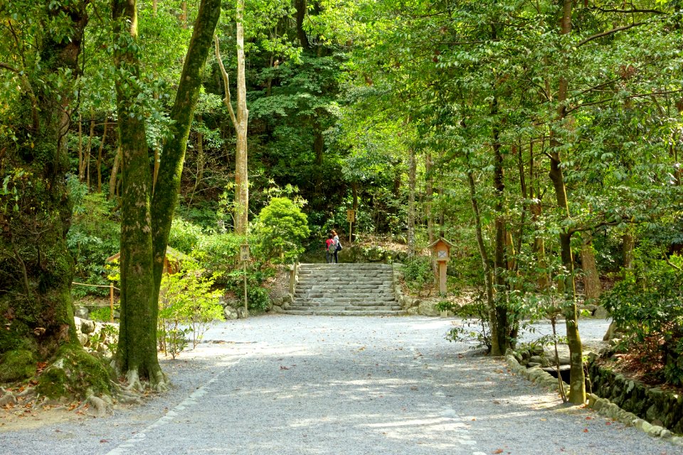 Walkway - Geku, Ise Shrine - Ise, Mie, Japan - DSC07824