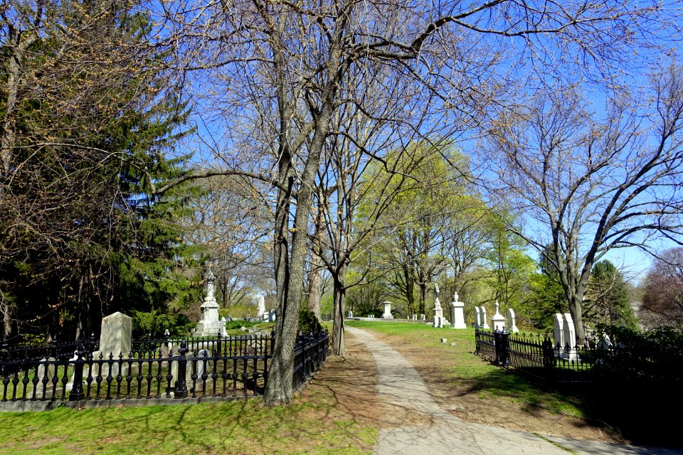 Walkway - Mount Auburn Cemetery - Cambridge, MA - DSC09150