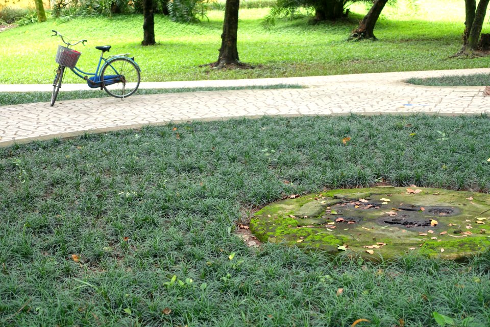 Walkway - Hanoi Botanical Garden - Hanoi, Vietnam - DSC03625