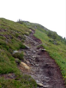 Wanderweg auf dem Pilatus-Westgrat, Nähe Gfellen