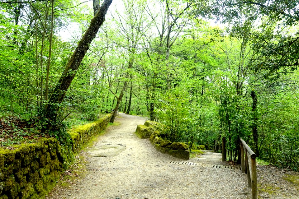 Walkway - Parco dei Mostri - Bomarzo, Italy - DSC02462