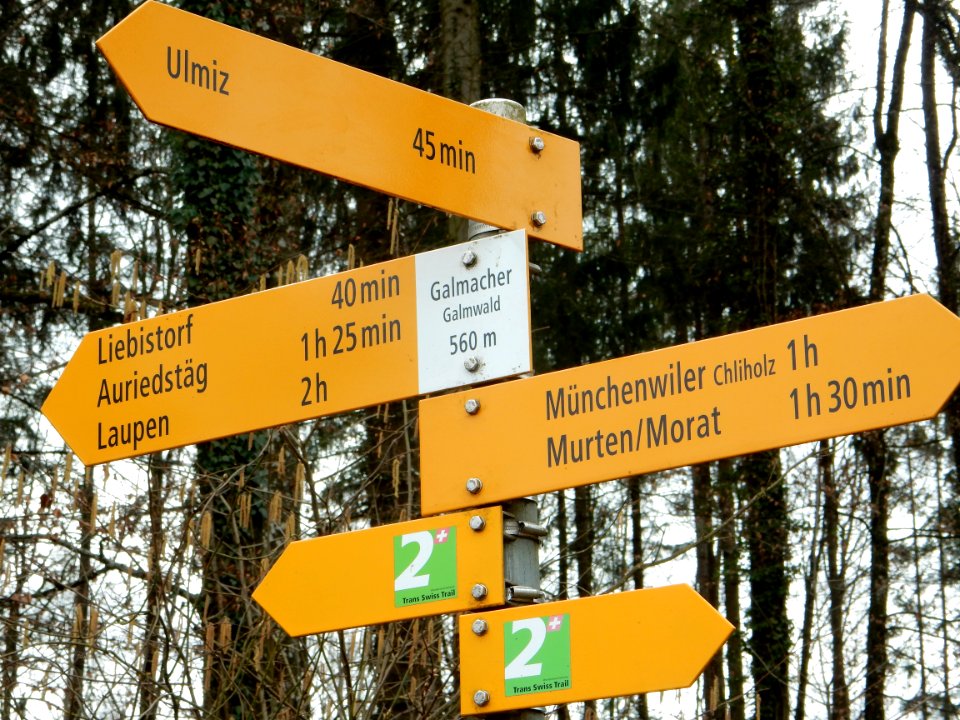 Wanderwegweise bei Galmacher im Staatswald Galm