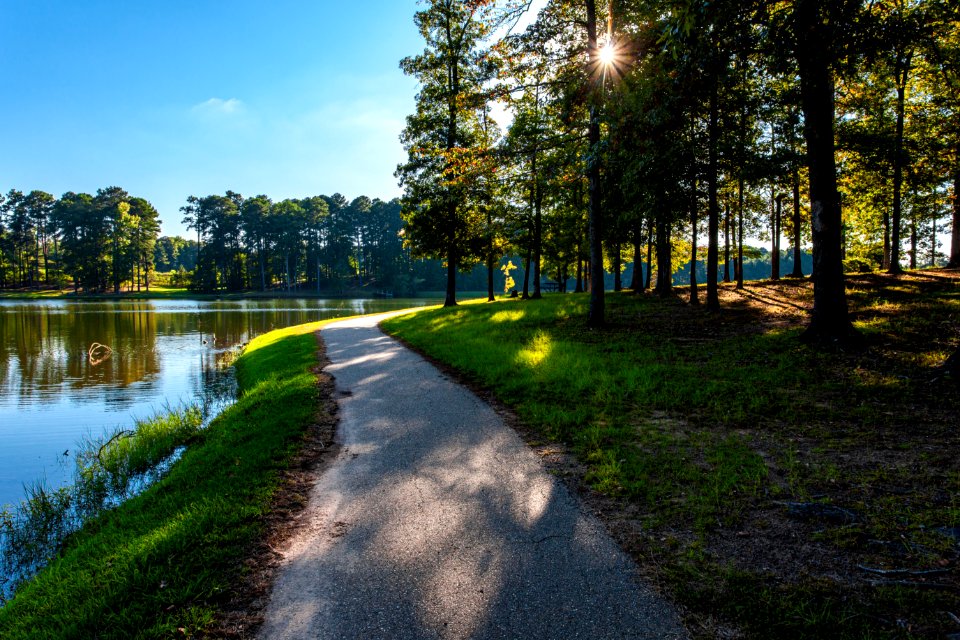 Walking path in Lincoln Parish Park