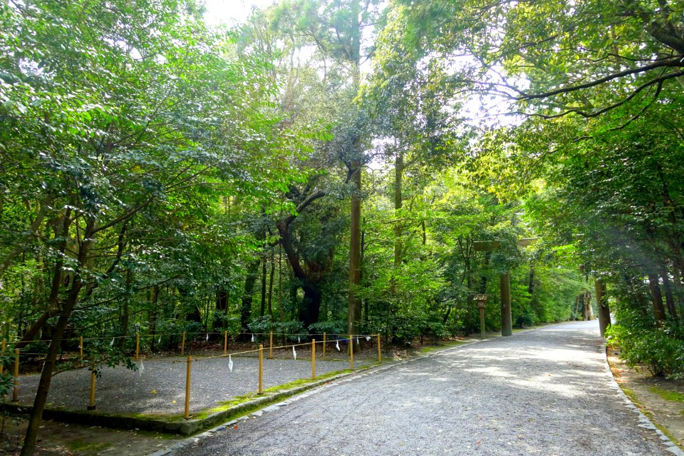 Walkway - Geku, Ise Shrine - Ise, Mie, Japan - DSC07788