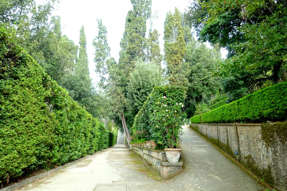 Walkway - Villa d'Este - Tivoli, Italy - DSC03991