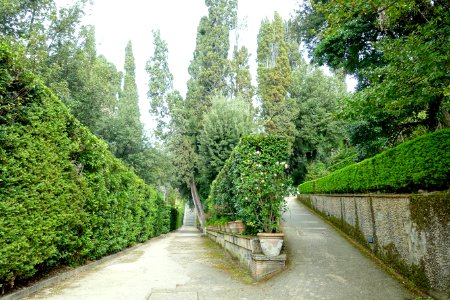 Walkway - Villa d'Este - Tivoli, Italy - DSC03991