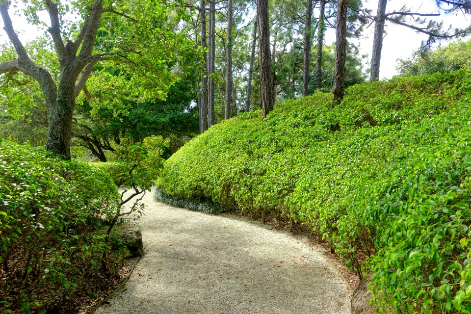 Walkway - Morikami Museum and Japanese Gardens - Palm Beach County, Florida - DSC03348