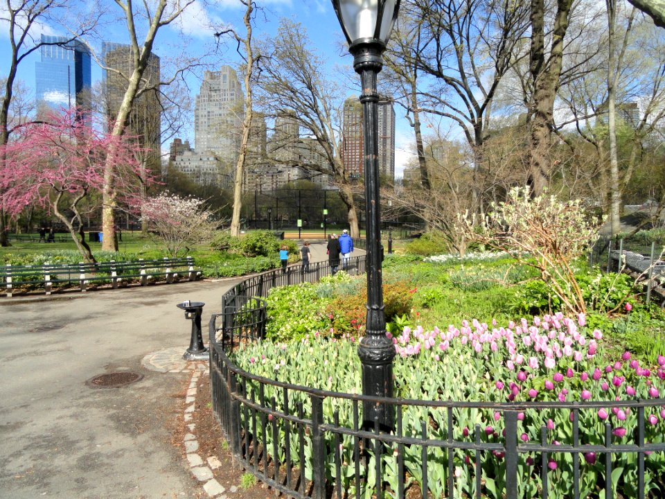 Walking paths in Central Park - DSC05937