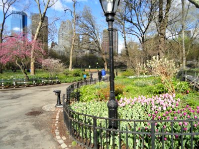 Walking paths in Central Park - DSC05937