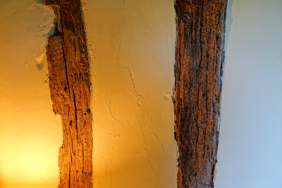 Wall detail - Alfriston Clergy House - Alfriston, East Sussex, England - DSC05121