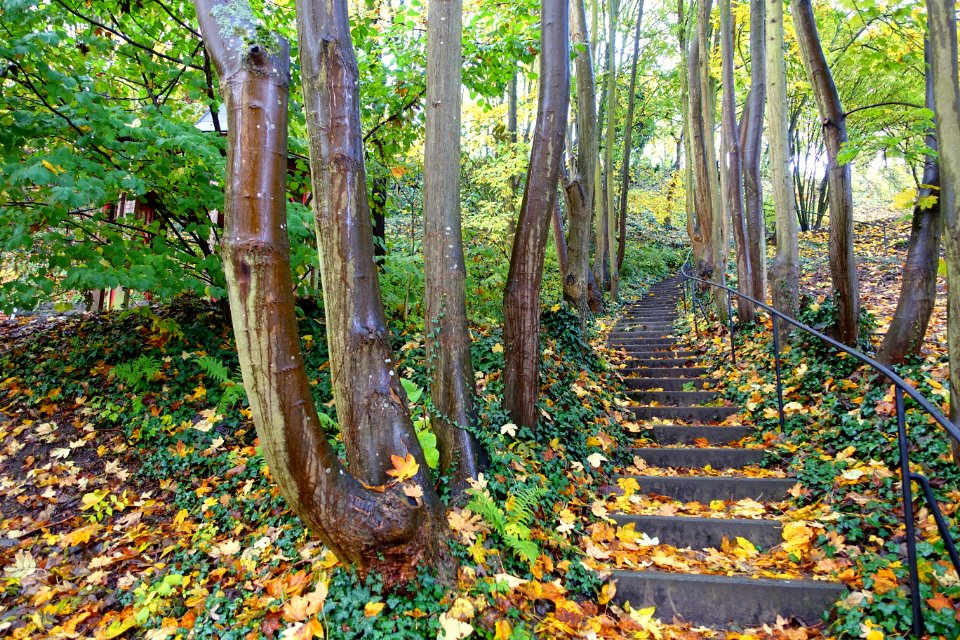 Walkway - Landesgartenschau-Park - Würzburg, Germany - DSC04431