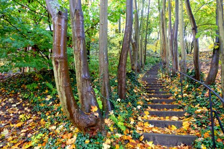 Walkway - Landesgartenschau-Park - Würzburg, Germany - DSC04431