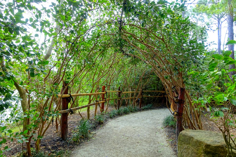 Walkway - Morikami Museum and Japanese Gardens - Palm Beach County, Florida - DSC03350