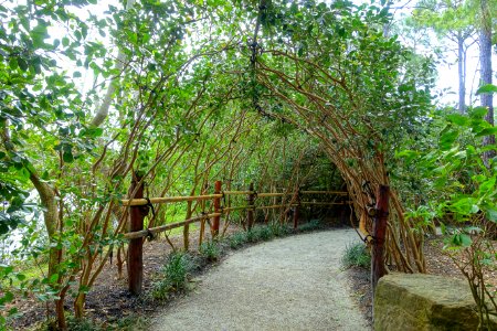 Walkway - Morikami Museum and Japanese Gardens - Palm Beach County, Florida - DSC03350