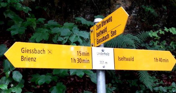 Wanderwegweiser Iseltwald Underholz