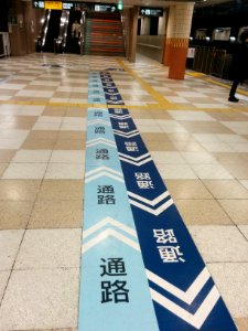 Walking lanes at Oookayama 