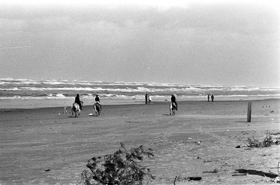 Wandelaars op het strand, Bestanddeelnr 926-8500