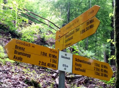 Wanderwegweiser Brienz Giessbach