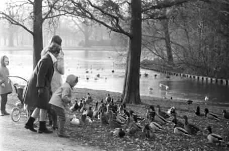 Wandelen in het Vondelpark in de winterzon, Bestanddeelnr 921-9307