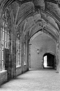 Wandelgang in de Abdij van Middelburg, Bestanddeelnr 920-3966