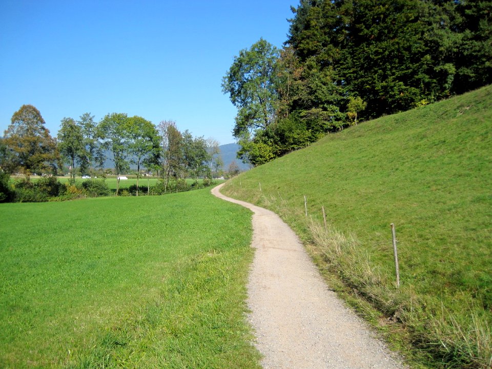 Wanderweg bei Kirchzarten