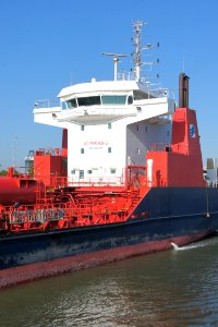 WAPPEN von DRESDEN - IMO 9365245, Berendrechtsluis, Antwerpen, pic7