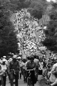 Wandelvierdaagse van Nijmegen wandelaars op Zeven Heuvelenweg, Bestanddeelnr 932-2541