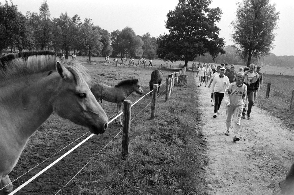 Wandelvierdaagse Apeldoorn, Bestanddeelnr 934-4816