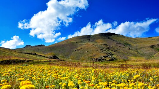 Landscapes nature sky grass