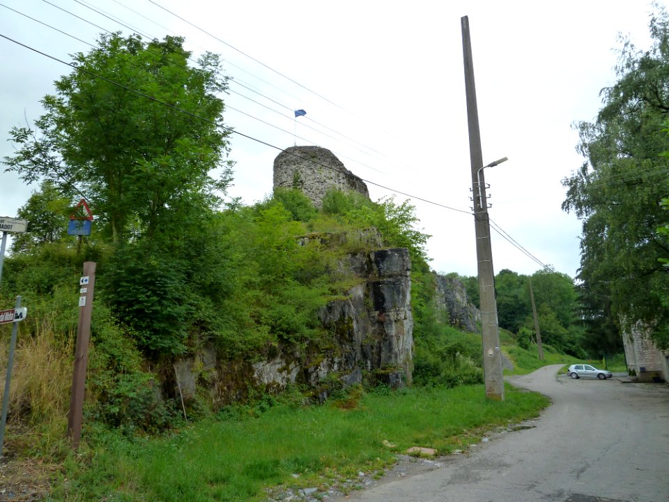 Wanze-Kasteel van Moha (1)