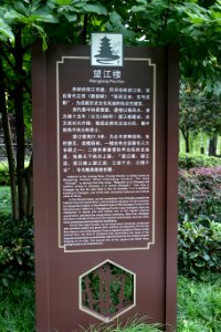 Wangjiang Tower sign - Wangjianglou Park - Chengdu, China - DSC06023