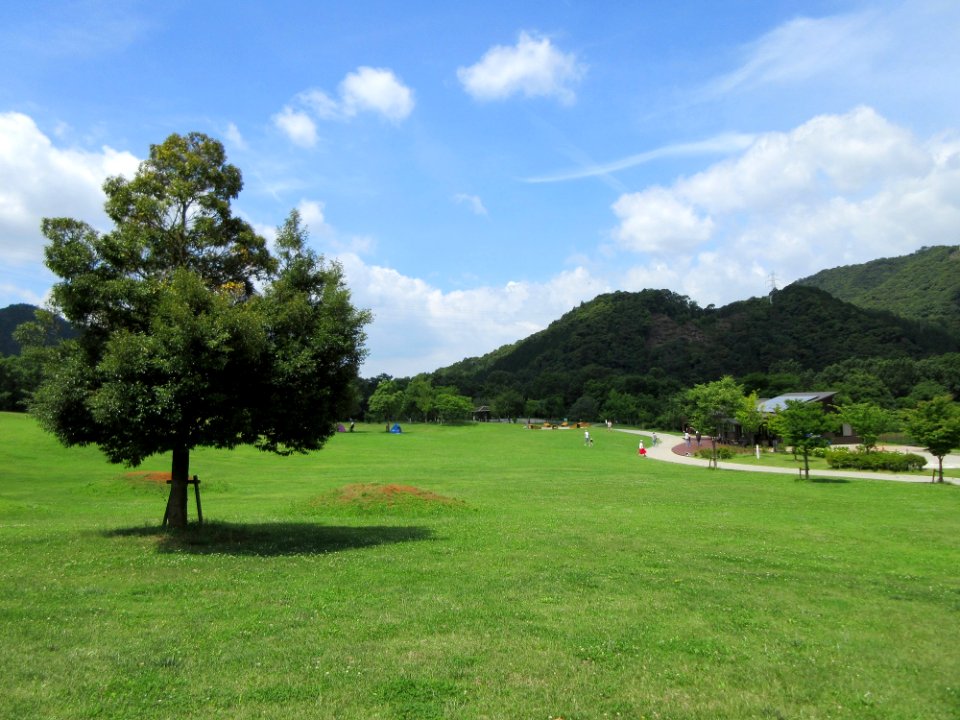 Wan-Park-1