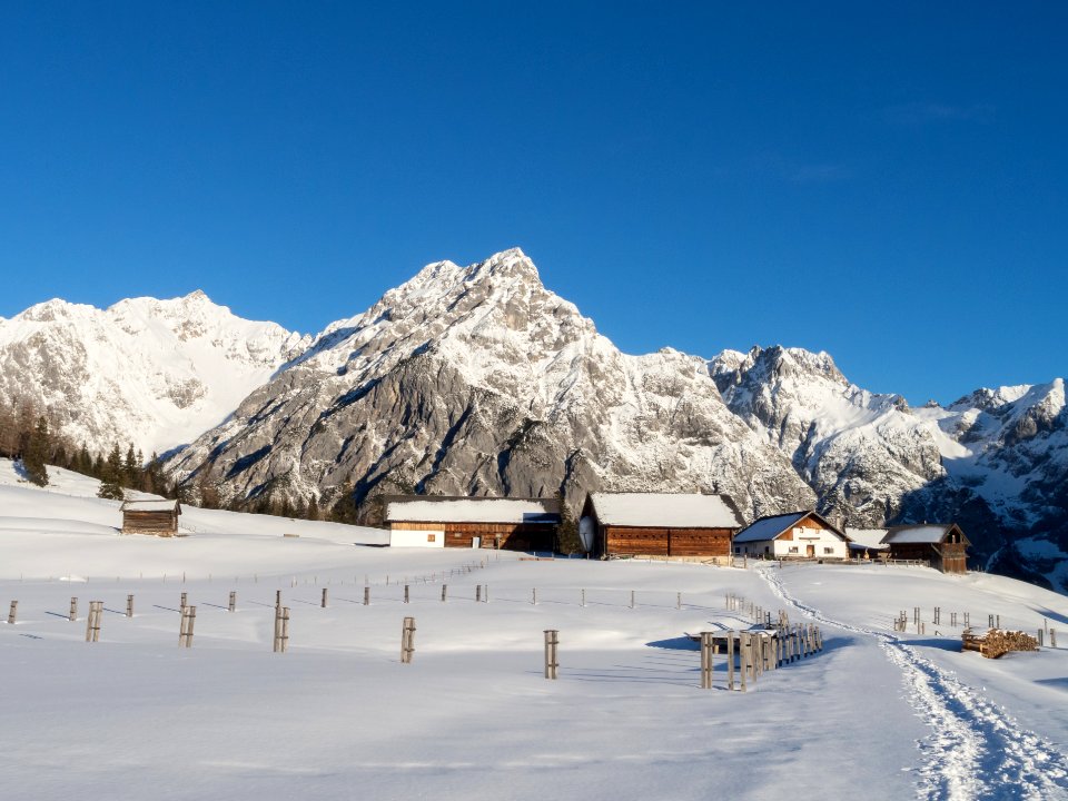 Walder Alm im Winter