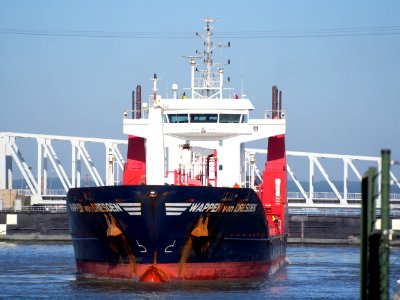 WAPPEN von DRESDEN - IMO 9365245, Berendrechtsluis, Antwerpen, pic2