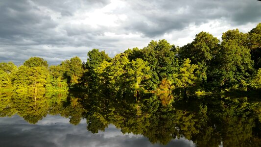 Landscape wood lake