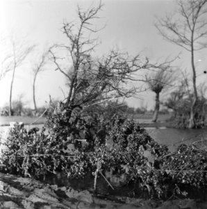 Walcheren, Bestanddeelnr 901-5263