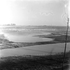 Walcheren, Bestanddeelnr 901-5258