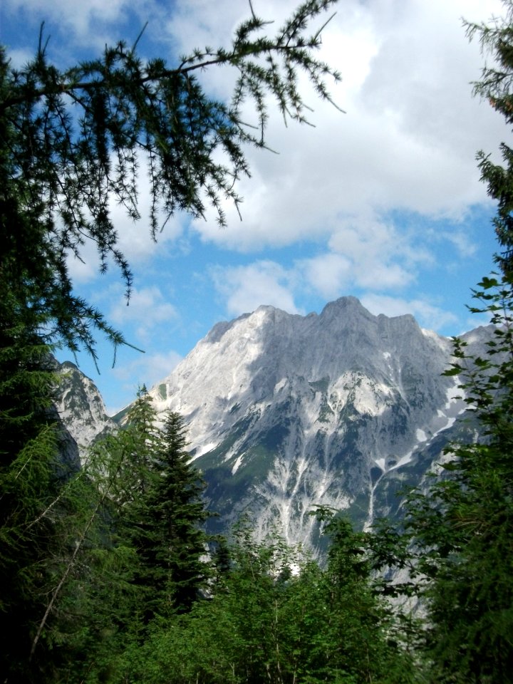 Walder Alm 4
