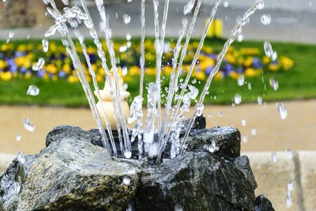 Flowers fountain green