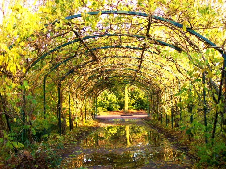 Walkden Gardens, Sale- pergola