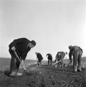 Walcheren, Bestanddeelnr 901-5386