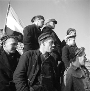 Walcheren Rondreis koningin Wilhelmina door Zeeland Zeeuwse mannen, Bestanddeelnr 900-4080