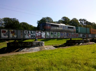 Waldbahnbrücke über das Elsterhochflutbett während der Nutzung Ende August 2017