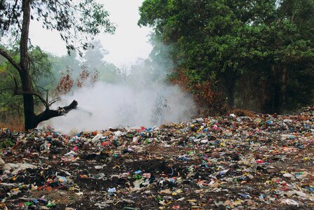 Woods smoke trash