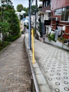 Walk in Higashiazabu 10