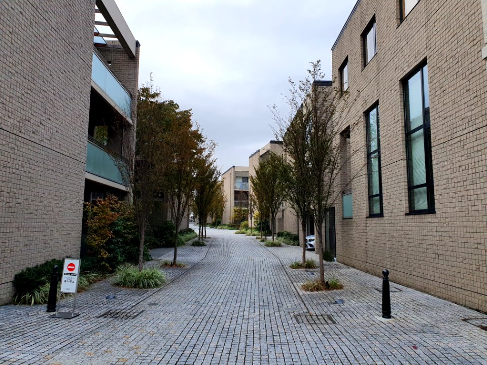 Walk in Motoazabu 9