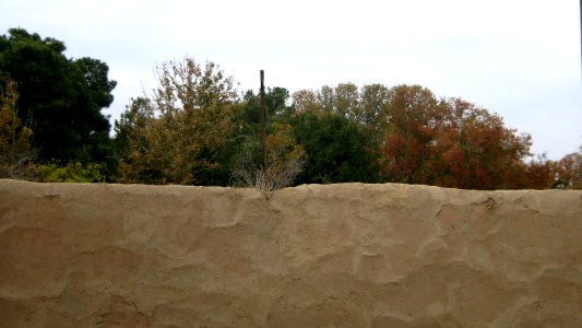 Wall of Amin al Islami Garden - east - autumn - Nishapur 11