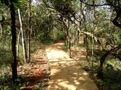 Walkway - Jardim Botânico de Brasília - DSC09635