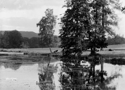 Walcot pool (1293594)